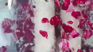 双 洞 齐 出