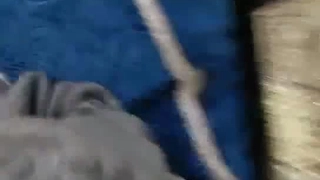 终于把清纯学妹约回家无套插入占有她