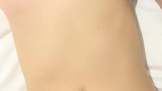 二零二三八月二十九号_穿心玫瑰