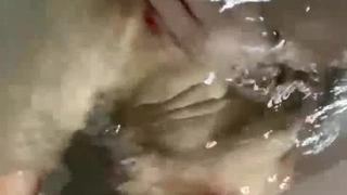 大奶拉丁妹深喉口交操爆菊花